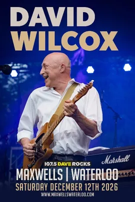 David Wilcox
