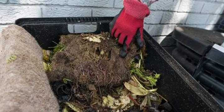 Compost Bin and Worm Farm Giveaway @ Repair and Reuse Day