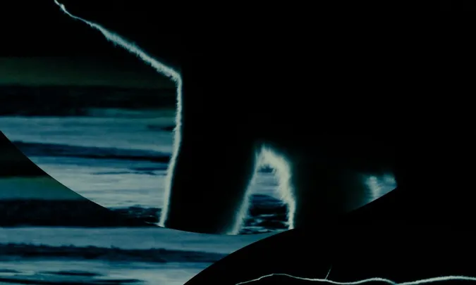MUBI FEST: NUISANCE BEAR + Q&A