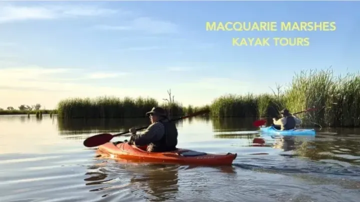 Macquarie Marshes Kayak Tour - Community access tour