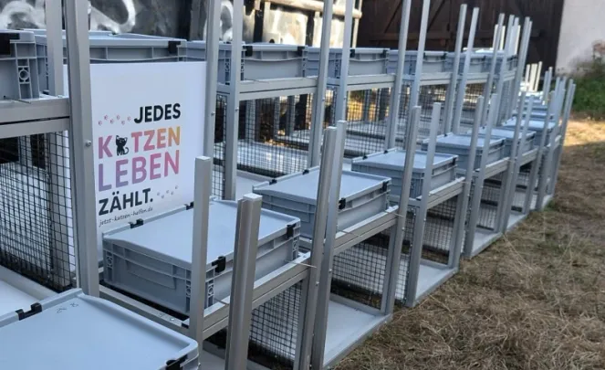 Katzenfallen im Fokus