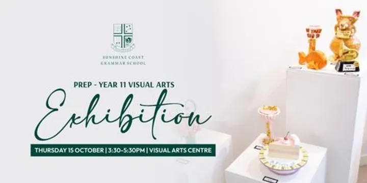 Prep - Year 11 Visual Arts Exhibition | Opening Night