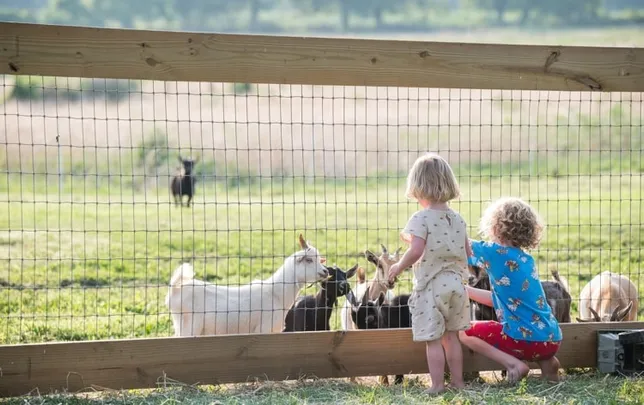 Barnyard Buddies 2026