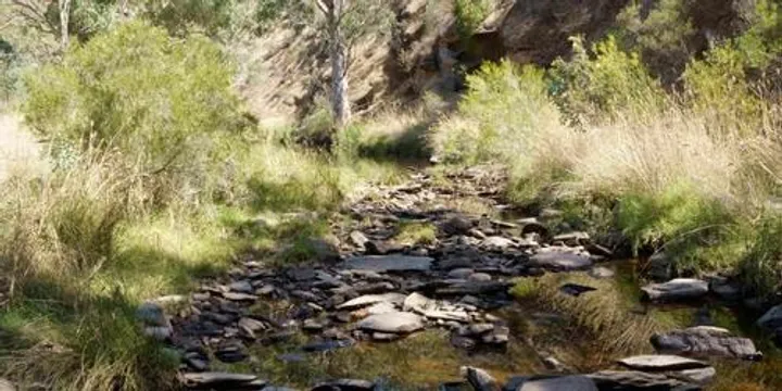 Catchment Conversation - Little Para and South Para Rivers