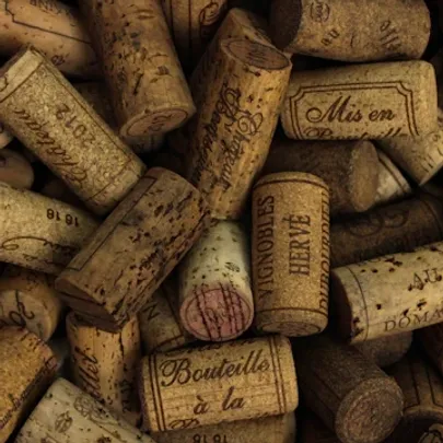 Wine Tasting: Meet the producer Tenuta Patruno Perniola