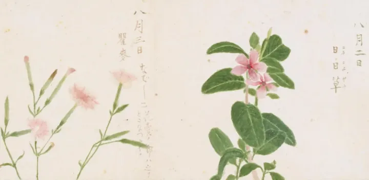 憧れ本読書会 #68　正岡子規『病牀六尺(病床六尺)』(東京の三鷹会場+ZOOMのオンライン読書会)