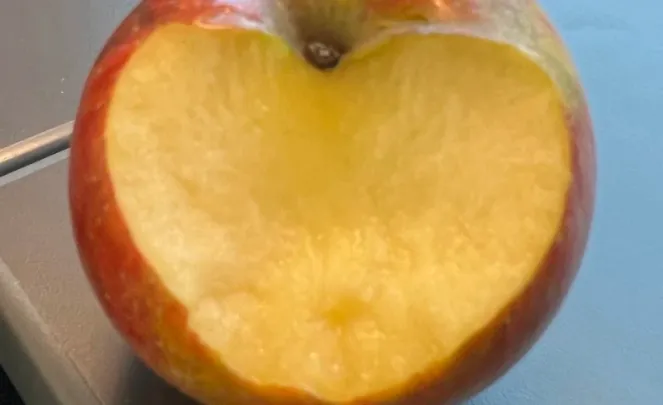 Beiss nicht gleich in jeden Apfel - Märchen für Erwachsene