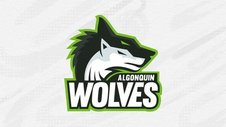 Varsity Volleyball: Algonquin Wolves vs. La Cité Coyotes