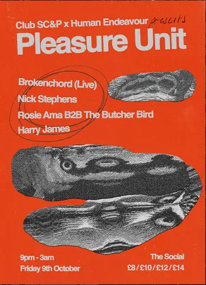 Pleasure Unit: Brokenchord (Live), Rosie Ama b2b the butcher bird, Nick Stephens, Harry James