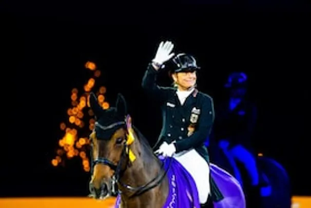 Dauerkarte 2026