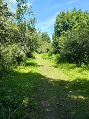 RØVE