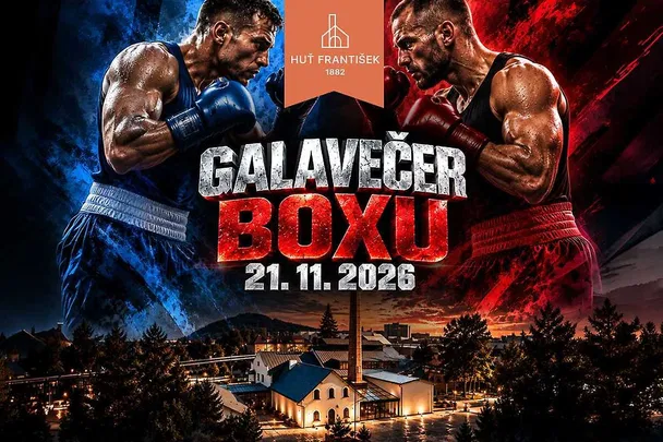 Galavečer boxu