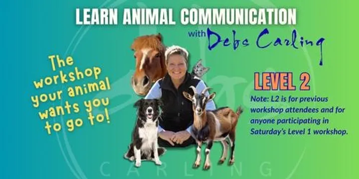 ANIMAL COMMUNICATION WITH DEBS- LEVEL 2