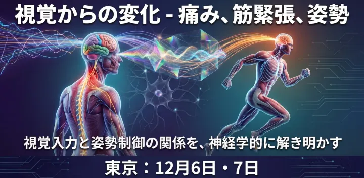 視覚からの変化  – 痛み、筋緊張、姿勢（東京）