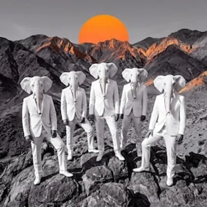 Orange - Bounka