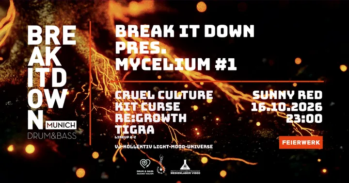 Break it Down pres. Mycelium #1