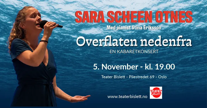 Sara Scheen Otnes: Overflaten nedenfra
