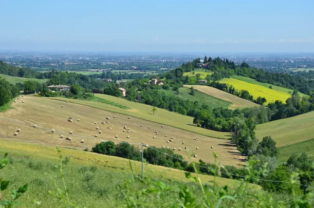 Maratona di Reggio Emilia