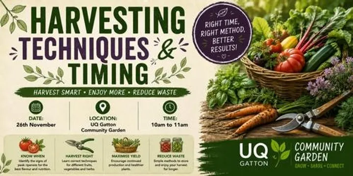 Harvesting Techniques & Timing