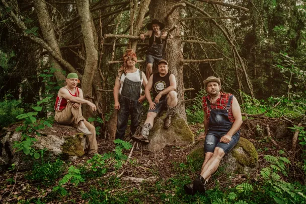 Steve'n'Seagulls