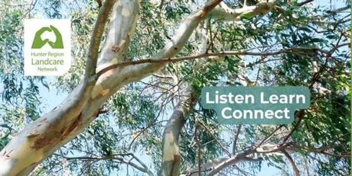 Cultural Immersion - Raymond Terrace