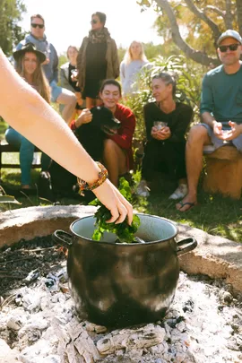 Coastal Forage Experience with Veld & Sea - 7 March