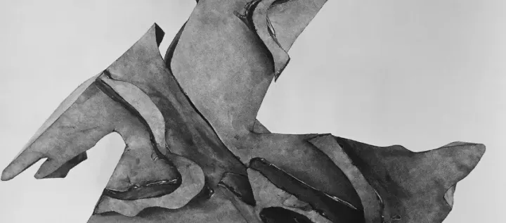 Exposition : Widefield Series