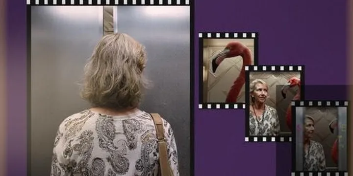 Microfilm Festival 2026