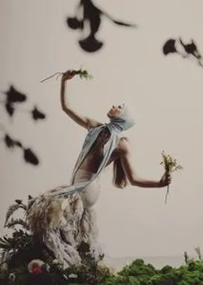 THE PIGEON DANCE