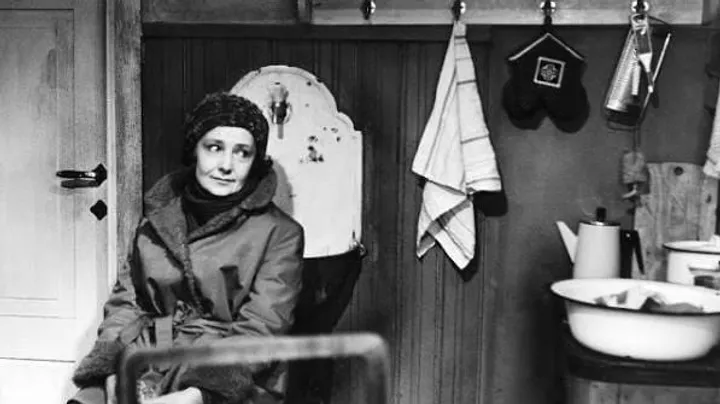 Eesti filmiklassika Kai kinos: "Naine kütab sauna"