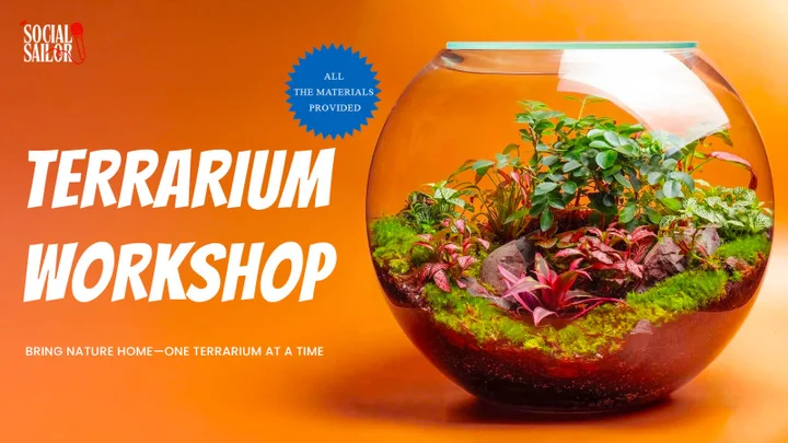 Terrarium Workshop Date - Mumbai