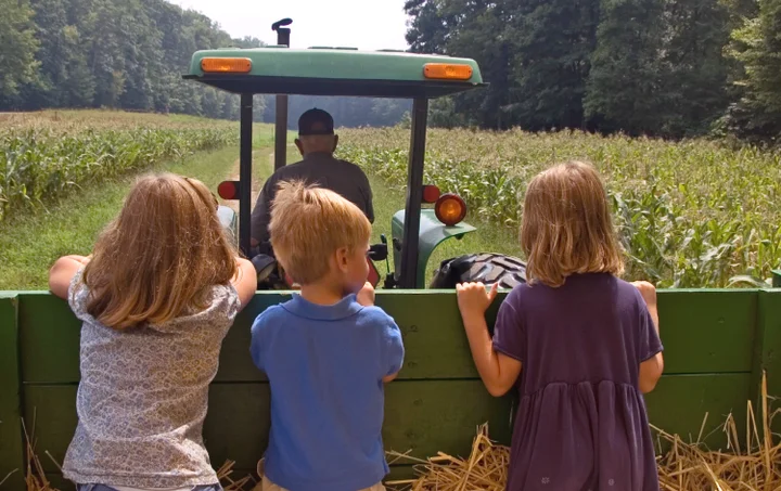 Fall Days on the Farm Fridays - Sundays